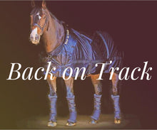 Load image into Gallery viewer, Back On Track Mesh Sheet - Clearance! Now $199