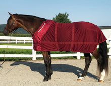 Load image into Gallery viewer, Back On Track Mesh Sheet - Clearance! Now $199