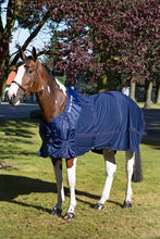 Load image into Gallery viewer, Back On Track Mesh Sheet - Clearance! Now $199