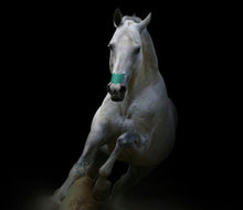 Load image into Gallery viewer, Flair Strips