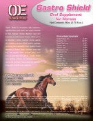 Load image into Gallery viewer, GASTRO SHIELD Paste