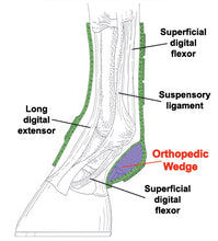 Load image into Gallery viewer, Iconoclast Rehab Boot