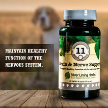 Load image into Gallery viewer, Brain &amp; Nerve Support for Canines
