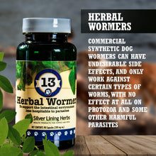 Load image into Gallery viewer, 13 Herbal Wormer for Canines -  90 Capsule
