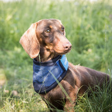 Load image into Gallery viewer, Cool on Track® Cooling Bandana
