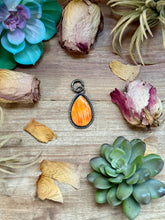 Load image into Gallery viewer, MJ Orange Spiny Oyster Sterling Silver Pendant – Teardrop
