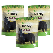 Load image into Gallery viewer, Kidney Support for Horses
