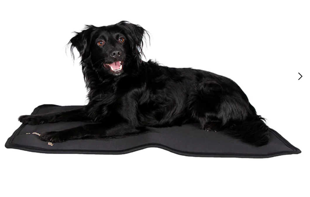 Back on Track Therapeutic Dog Bed Liner