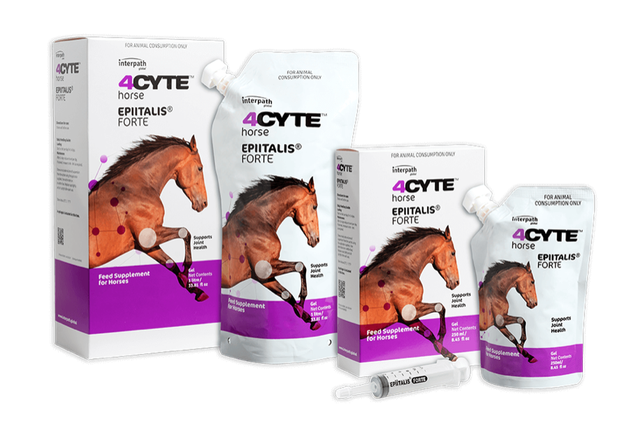 4CYTE™ EPIITALIS® FORTE HORSE