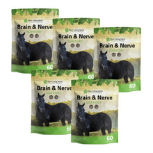 Load image into Gallery viewer, Brain &amp; Nerve Support for Horses
