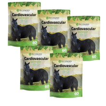 Load image into Gallery viewer, Cardiovascular Support for Horses
