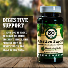 Load image into Gallery viewer, Digestive Support for Canines
