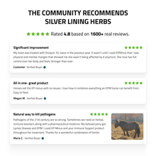 Load image into Gallery viewer, EP Minus For Horses
