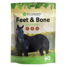 Load image into Gallery viewer, Feet &amp; Bone Support for Horses
