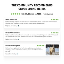 Load image into Gallery viewer, Feet &amp; Bone Support for Horses
