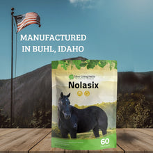 Load image into Gallery viewer, Gut Support for Horses
