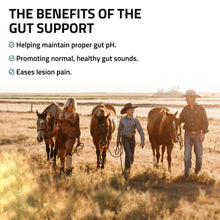 Load image into Gallery viewer, Gut Support for Horses
