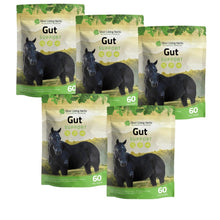 Load image into Gallery viewer, Gut Support for Horses
