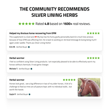 Load image into Gallery viewer, Herbal Wormer for Horses
