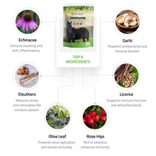 Load image into Gallery viewer, Immune Support for Horses
