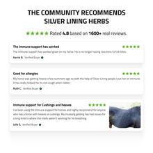 Load image into Gallery viewer, Immune Support for Horses
