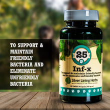 Load image into Gallery viewer, INF-X for Canines - 90 Capsules
