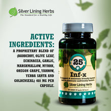 Load image into Gallery viewer, INF-X for Canines - 90 Capsules
