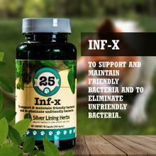 Load image into Gallery viewer, INF-X for Canines - 90 Capsules
