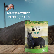 Load image into Gallery viewer, INF-X for Horses
