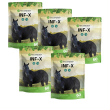 Load image into Gallery viewer, INF-X for Horses
