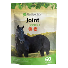 Load image into Gallery viewer, Joint Support for Horses
