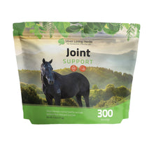 Load image into Gallery viewer, Joint Support for Horses

