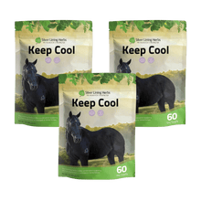 Load image into Gallery viewer, Keep Cool for Horses
