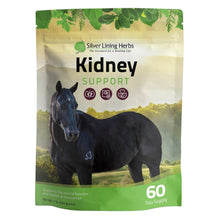 Load image into Gallery viewer, Kidney Support for Horses
