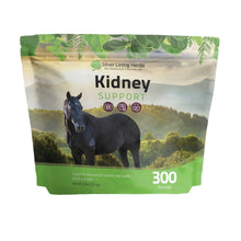 Load image into Gallery viewer, Kidney Support for Horses
