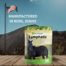 Load image into Gallery viewer, Lymphatic Support for Horses
