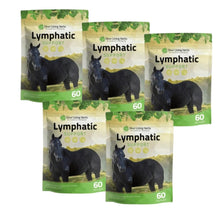 Load image into Gallery viewer, Lymphatic Support for Horses
