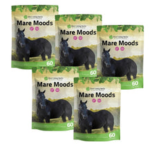 Load image into Gallery viewer, Mare Moods For Horses
