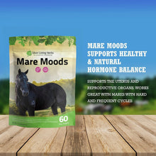 Load image into Gallery viewer, Mare Moods For Horses

