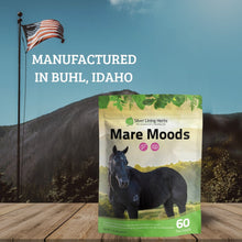 Load image into Gallery viewer, Mare Moods For Horses
