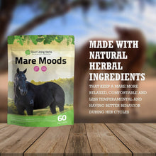 Load image into Gallery viewer, Mare Moods For Horses
