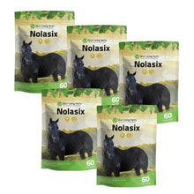 Load image into Gallery viewer, Nolasix for Horses
