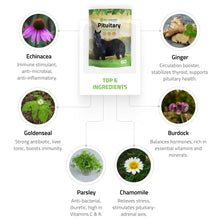 Load image into Gallery viewer, Pituitary Support for Horses
