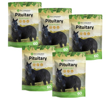 Load image into Gallery viewer, Pituitary Support for Horses

