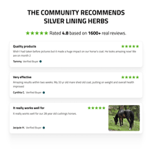 Load image into Gallery viewer, Pituitary Support for Horses
