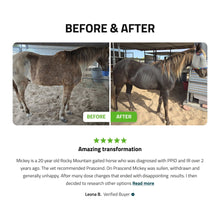 Load image into Gallery viewer, Pituitary Support for Horses
