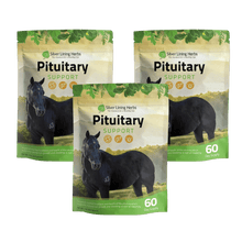 Load image into Gallery viewer, Pituitary Support for Horses
