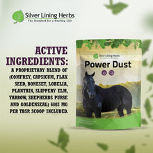 Load image into Gallery viewer, Power Dust for Horses
