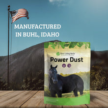 Load image into Gallery viewer, Power Dust for Horses
