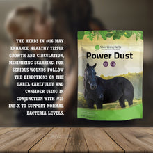Load image into Gallery viewer, Power Dust for Horses
